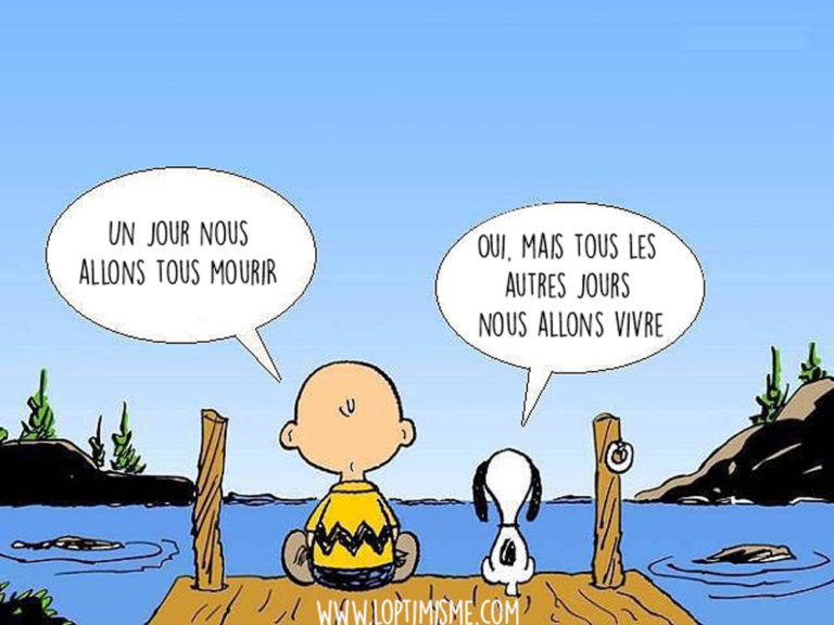 SNOPI 1