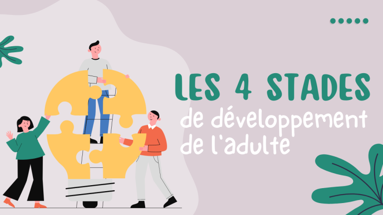 Les 4 stades de developpement de ladulte