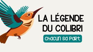 La leende du colibri chacun sa part