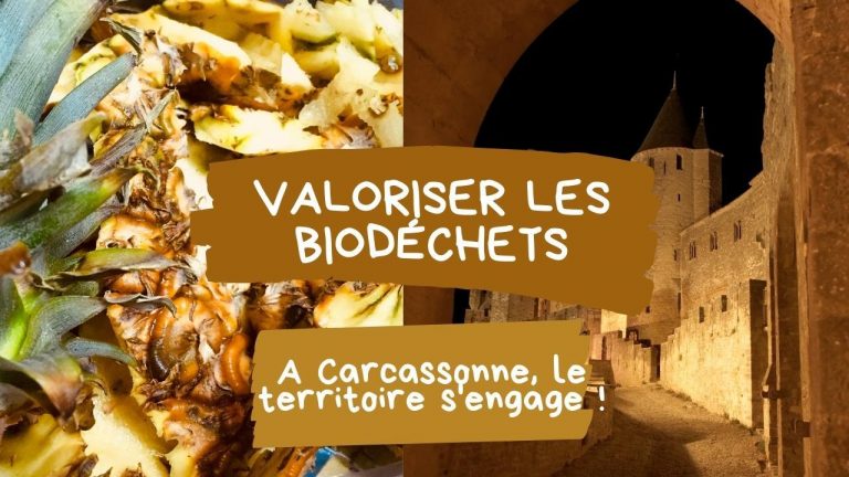 biodéchets