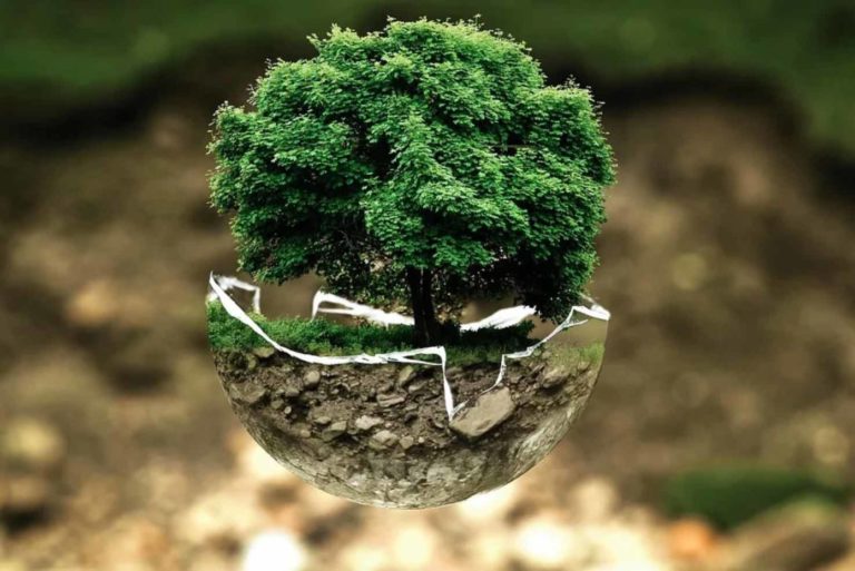 environnement