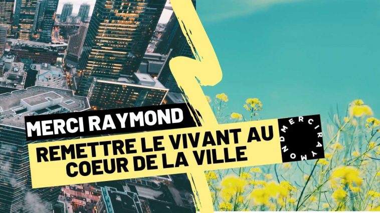 Merci raymond 2