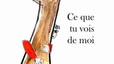 Ce que tu vois de moi