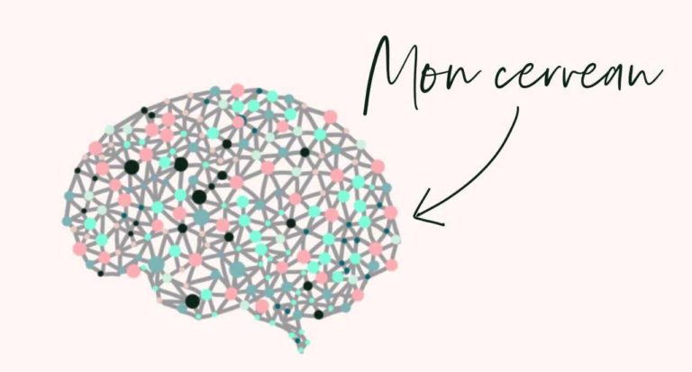 Cerveau