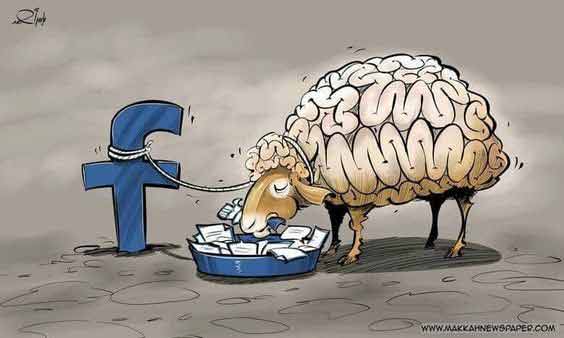 "TECH" : si on fait tous la course, qui prend le temps de réfléchir ? 6 Mouton