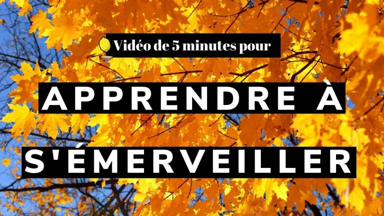 emerveiller 1