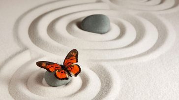 Papillon