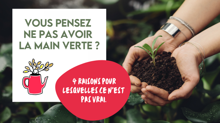 Article main verte 3