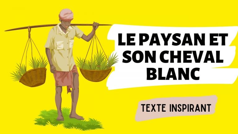 Une prairie verte sous un ciel pâle