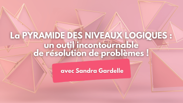 Pyramide niveaux logiques