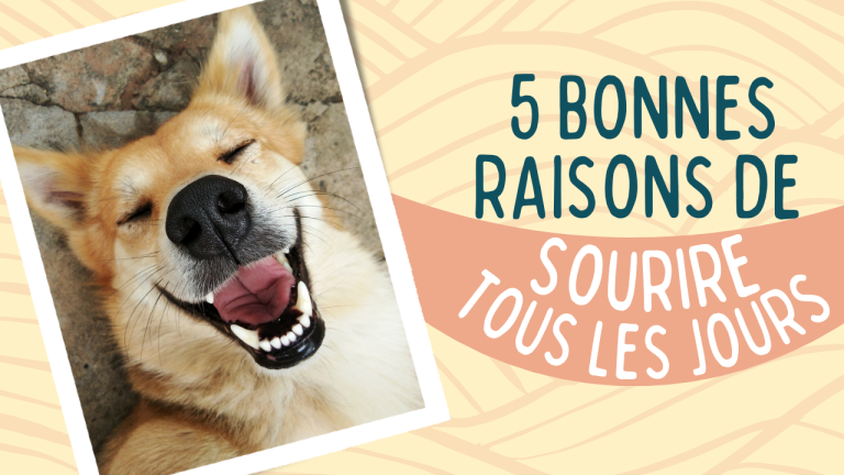 5 bonnes raisons de surire tous les jours