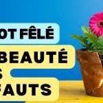 pot fêlé accepter ses défauts