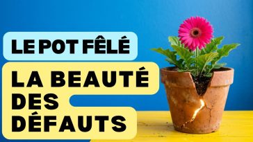 pot fêlé accepter ses défauts