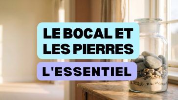 Le bocal et les grosses pierres, gestion des priorités