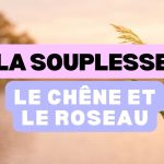 Le chêne et le roseau, la force de la souplesse