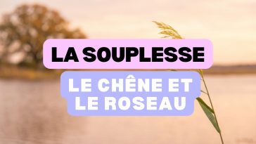 Le chêne et le roseau, la force de la souplesse