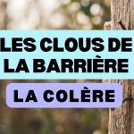 Les clous de la barrière, gérer ses colères
