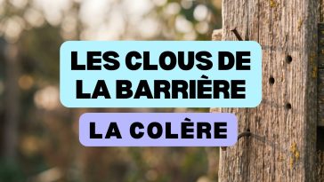 Les clous de la barrière, gérer ses colères