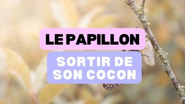 Le cocon et le papillon, surmonter les épreuves