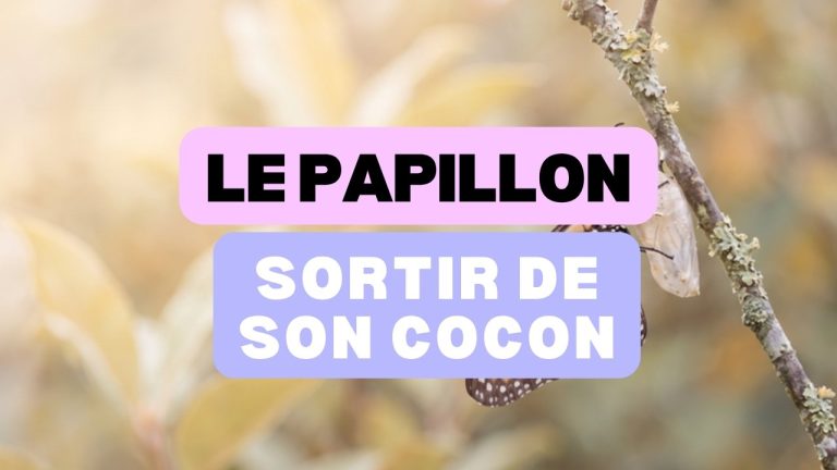 Le Cocon et le Papillon : pourquoi la lutte est nécessaire à l’envol