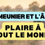 Le Meunier, son Fils et l'Âne : l'impossibilité de plaire à tout le monde 8 Le meunier, son fils et l'âne, se libérer du regard des autres