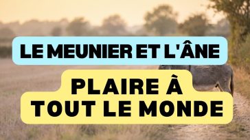 Le meunier, son fils et l'âne, se libérer du regard des autres