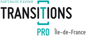 Transitions Pro