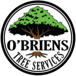 Illustration du profil de Obriens Trees