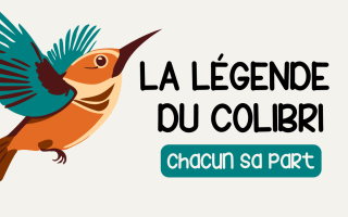 La légende du colibri chacun sa part