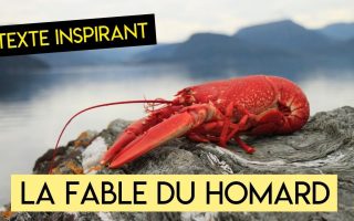 homard